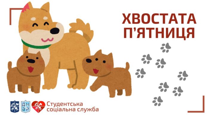 Хвостата п’ятниця: вигули собак із тимчасового притулку на ВДНГ + кінопоказ у Соцслужбі КПІ